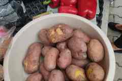 „Dzień ziemniaka” w Internacie